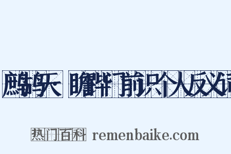 鹧鸪天·瞻跸门前识个人反义词是什么意思的图片